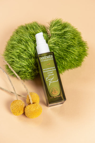 Mizfit Essentials™ Multipotent Regenerative Night Cream – Restore & Glow While You Rest - Mizfit Essentials